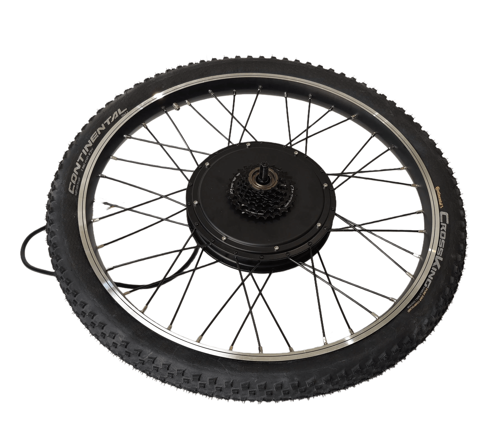 Trä på andra sidan