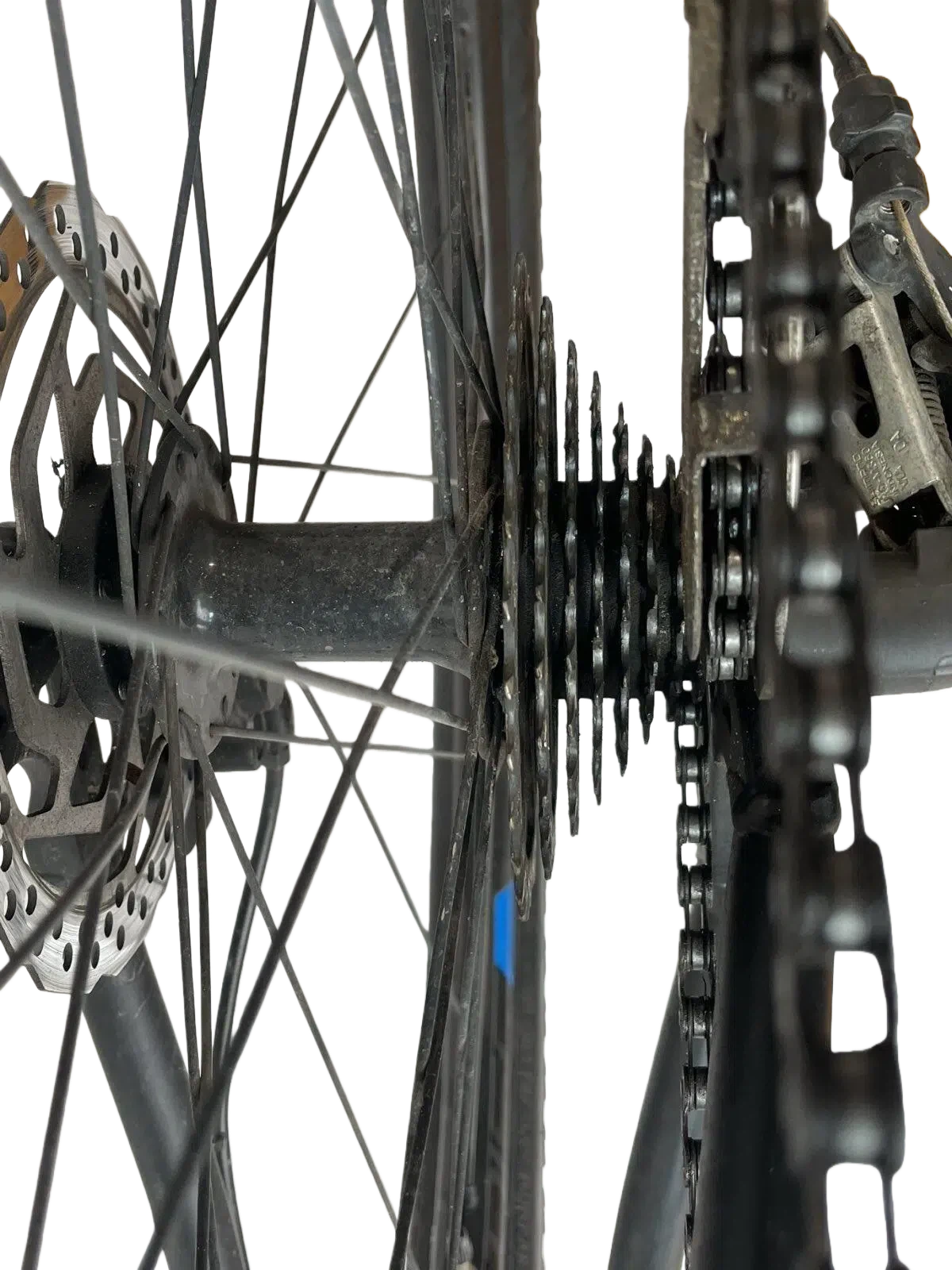 Close-up of the gear