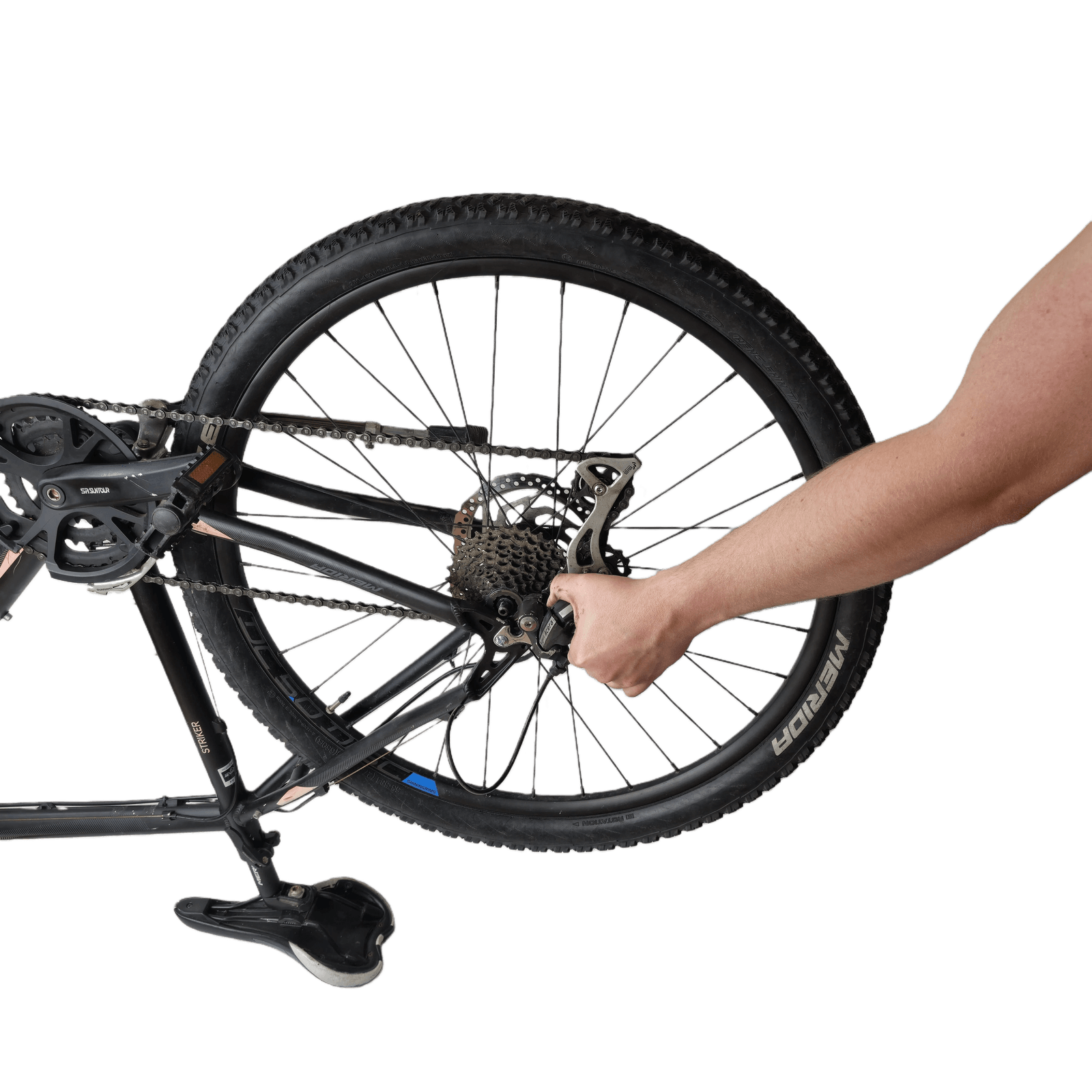 Lift out the rear wheel