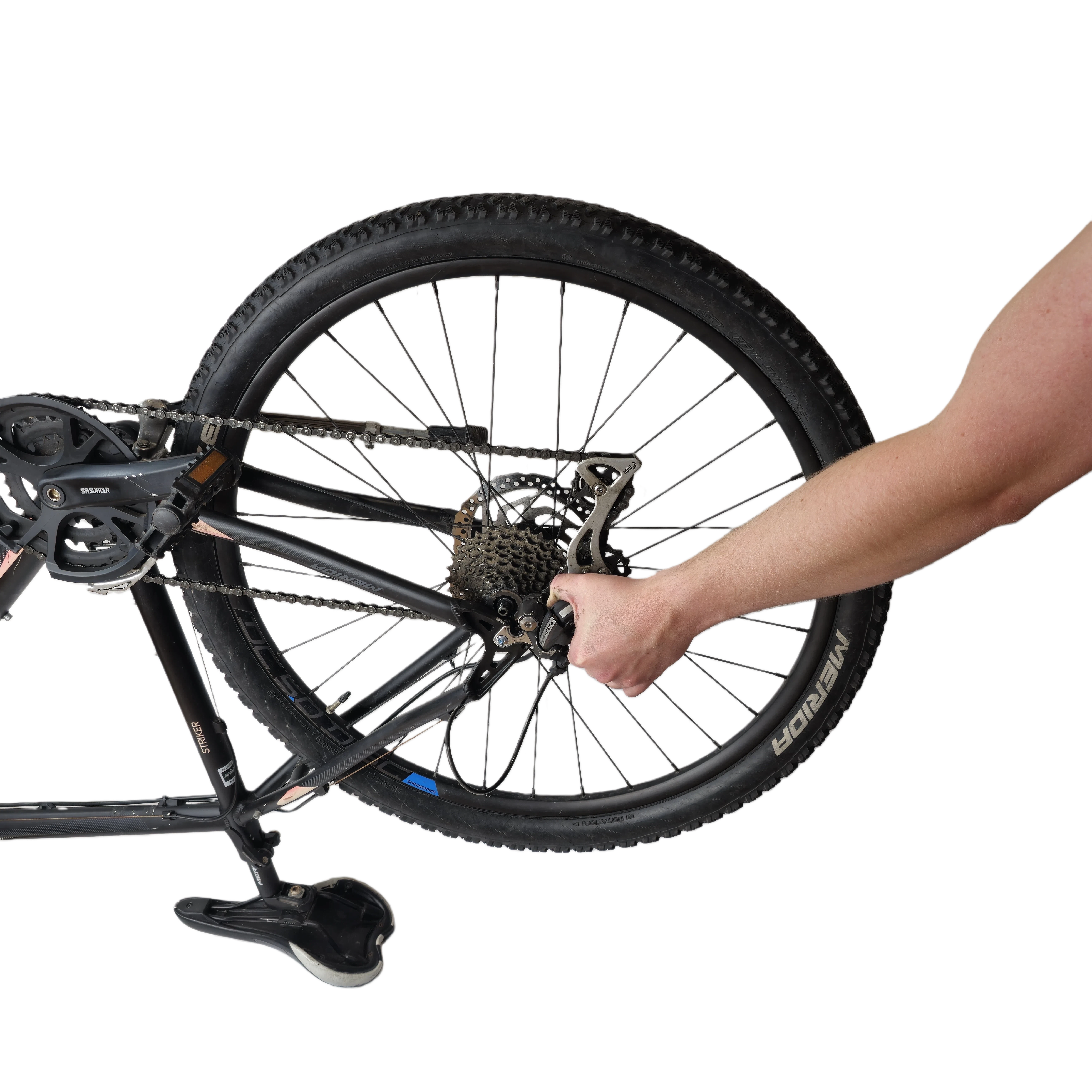 Lift out the rear wheel